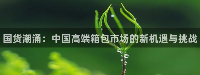 辉达娱乐官网