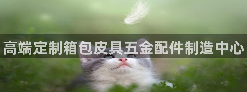 代理辉达娱乐平台