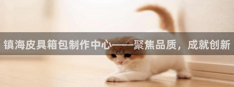 辉达平台注册入口