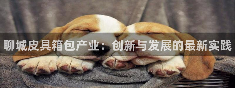 辉达娱乐新疆时时彩
