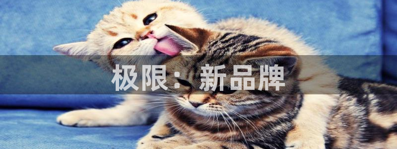 辉达娱乐计划软件
