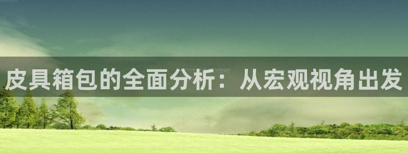 辉达娱乐电子