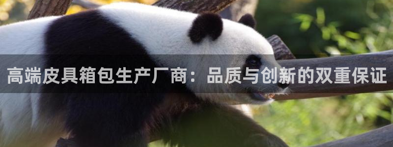 辉达娱乐丶39444
