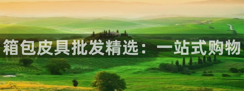 菲律宾辉达娱乐