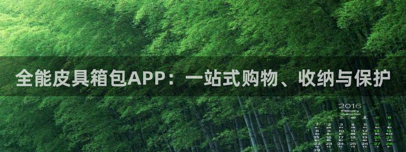 菲律宾辉达娱乐