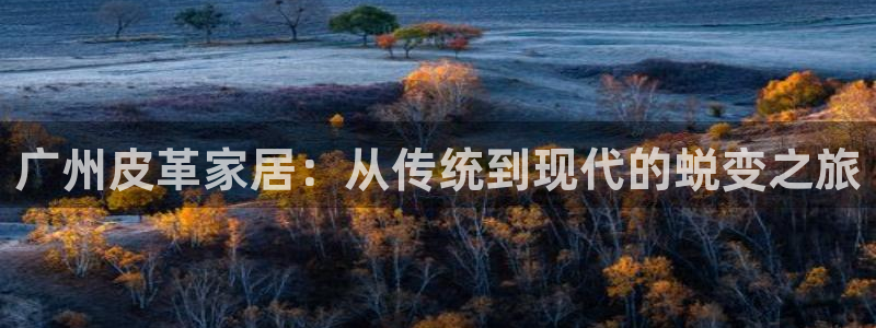 代理辉达娱乐平台
