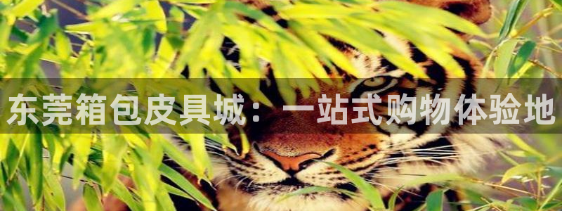 专业辉达娱乐在线游戏