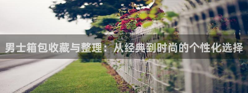 辉达平台官网网站