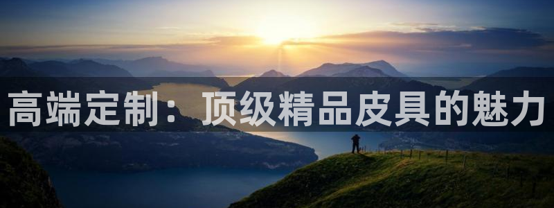 辉达平台官网电话