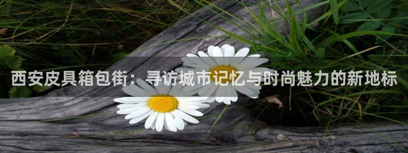信誉辉达娱乐