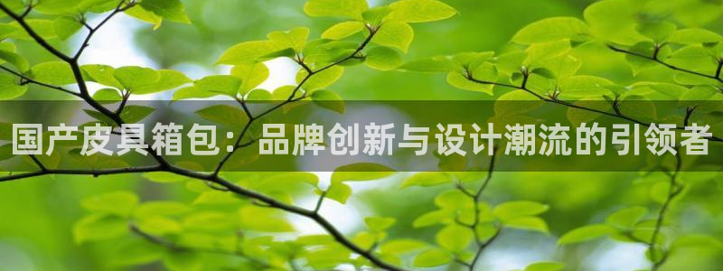 恒达娱乐辉70667