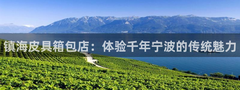 辉达娱乐开户注册