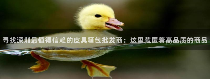 辉达娱乐丿75505