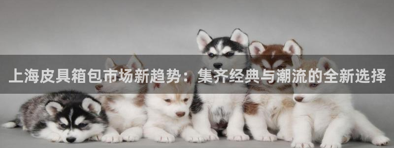辉达娱乐
