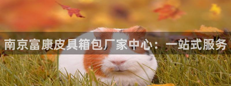 代理辉达娱乐平台