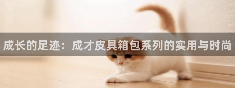 辉达平台官网下载