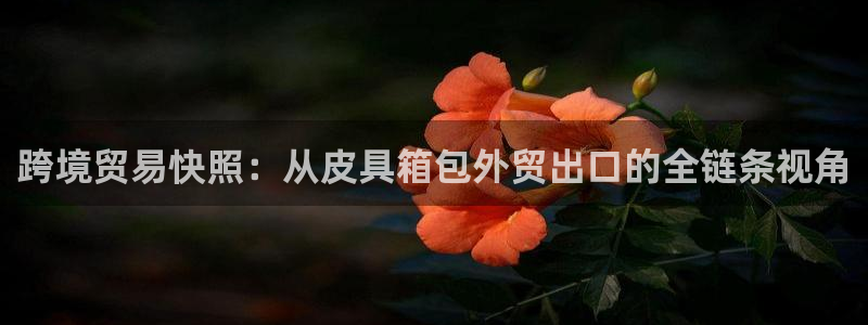 辉达娱乐最新现状