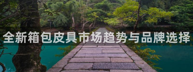 辉达娱乐线路检测