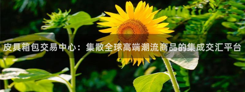 辉达娱乐下载