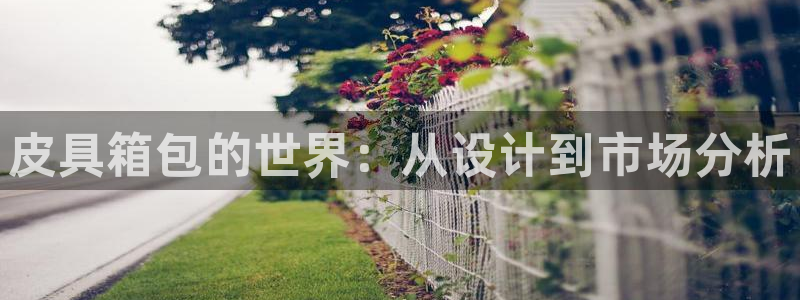 代理辉达娱乐