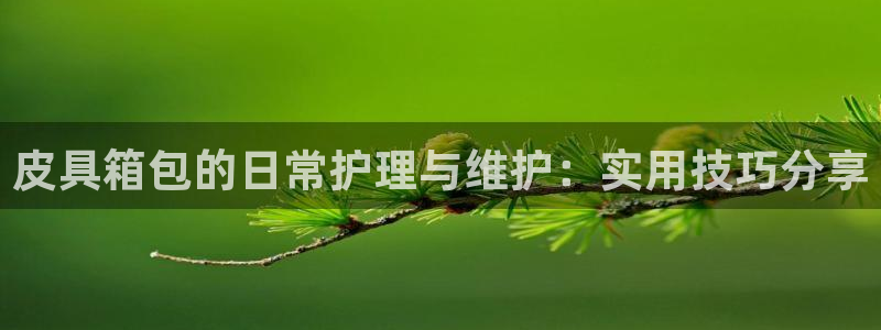 辉达娱乐总部