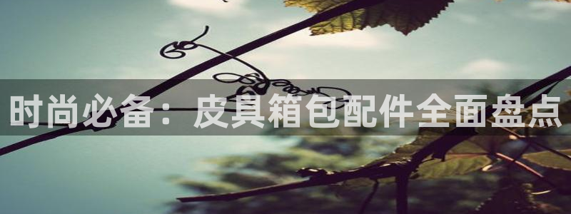 辉达平台注册流程