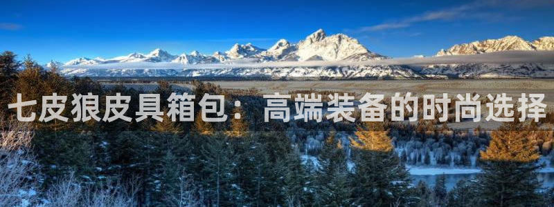 辉达娱乐平台