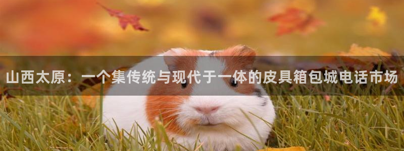 代理辉达娱乐平台
