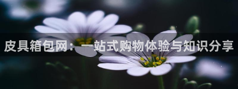辉达娱乐最新现状