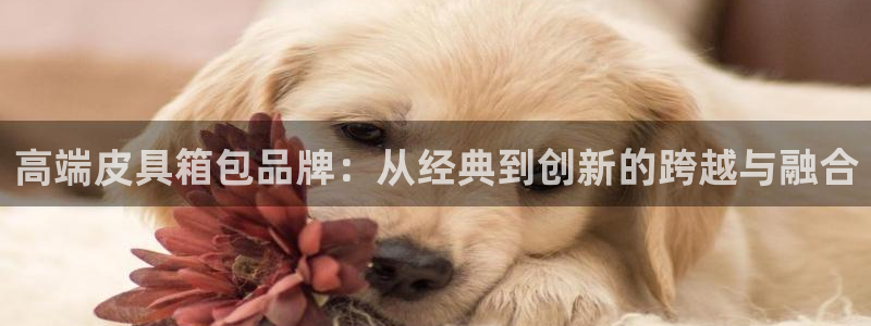辉达娱乐丨39444