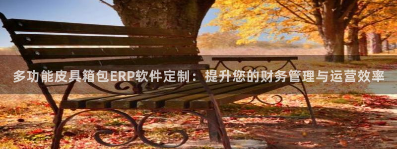 辉达娱乐计划软件