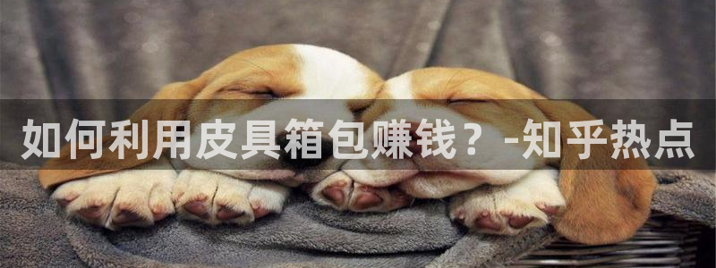 辉达娱乐重庆时时彩