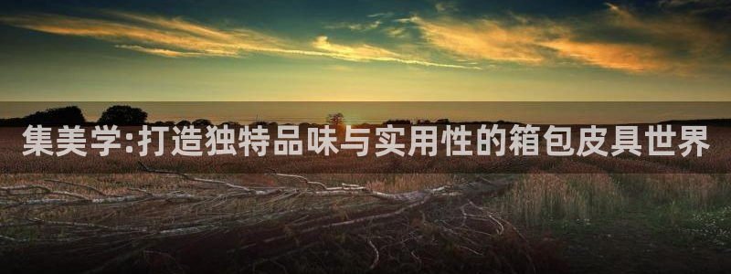 菲律宾辉达娱乐