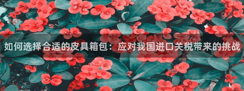 辉达娱乐己75505
