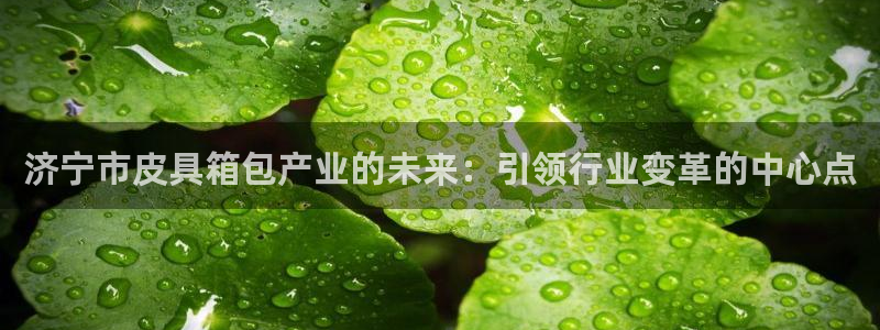 辉达娱乐总部