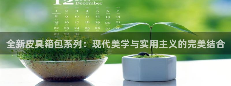 辉达平台注册入口