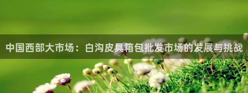 辉达官网登录入口入口