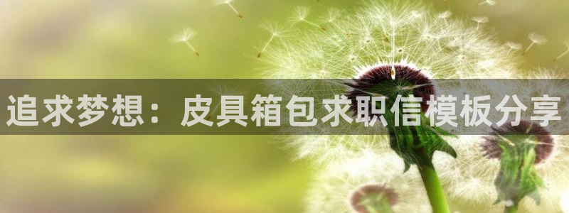 代理辉达娱乐平台