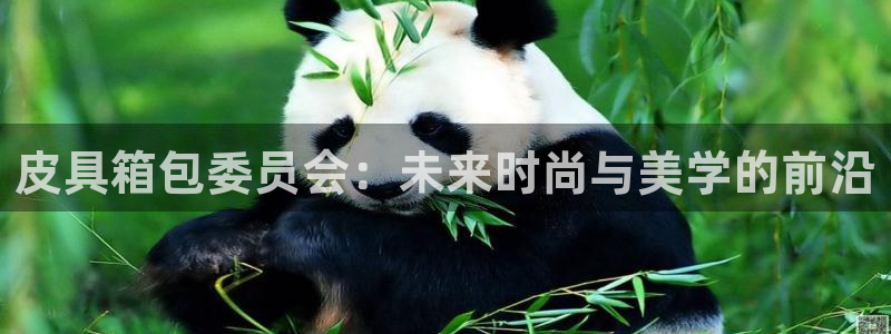 专业辉达娱乐平台