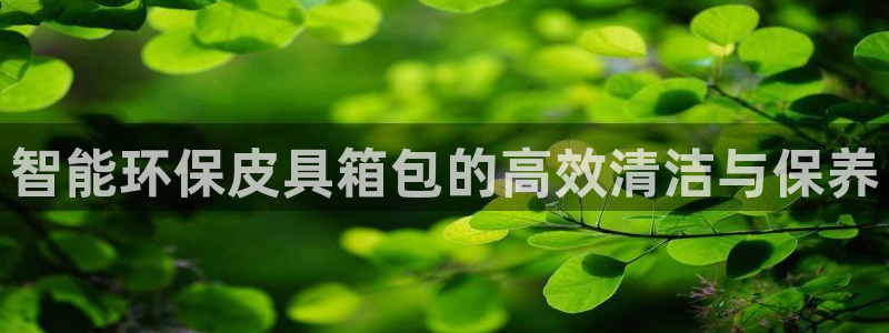 辉达娱乐五39444