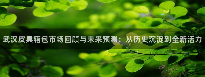 辉达娱乐丿39444