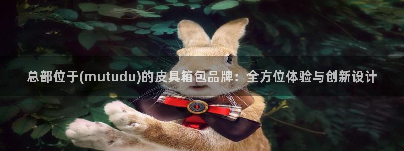 辉达娱乐己75505