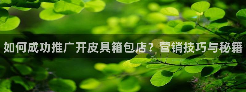 辉达集团官方网站