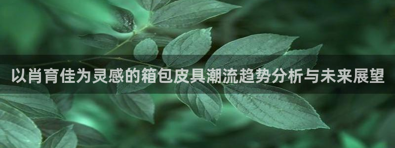 专业辉达娱乐在线游戏
