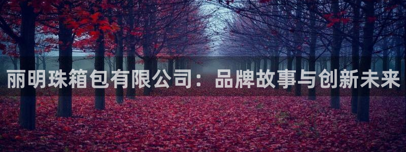 辉达娱乐官网