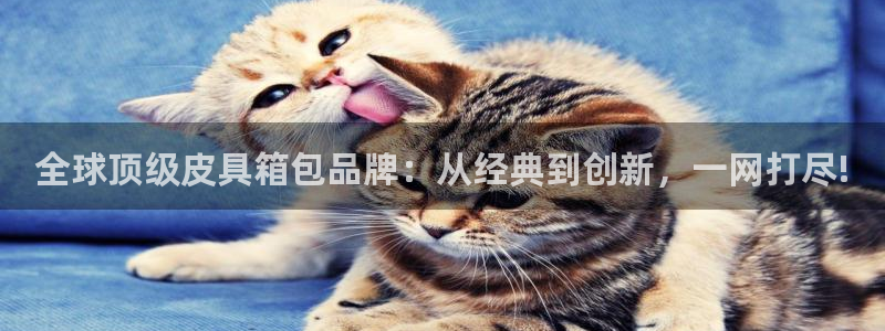 信誉辉达娱乐