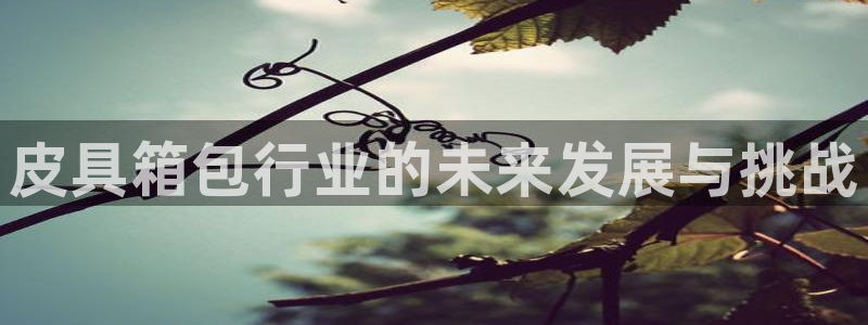 信誉辉达娱乐平台