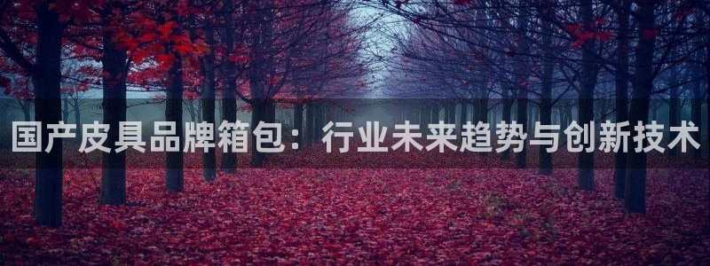 正规辉达娱乐开户注册