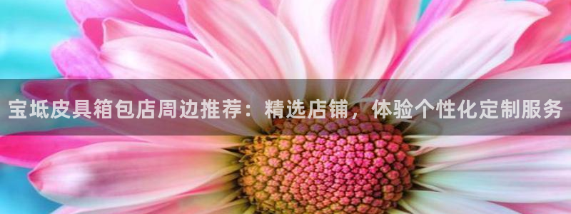辉达娱乐招商