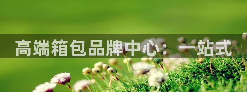 辉达平台官网下载